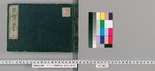 Records of the Pleasure Quarters [1]