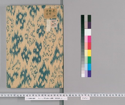 Notes on Ancient Paintings, 50 Volumes [5]