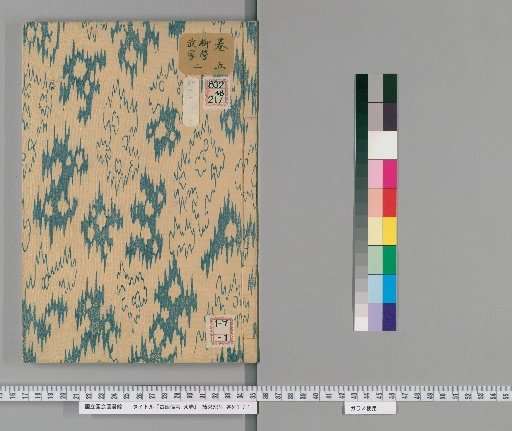 Notes on Ancient Paintings, 50 Volumes [6]
