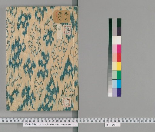 Notes on Ancient Paintings, 50 Volumes [10]