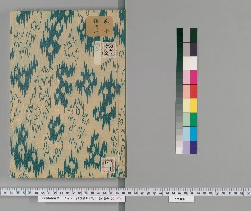 Notes on Ancient Paintings, 50 Volumes [11]