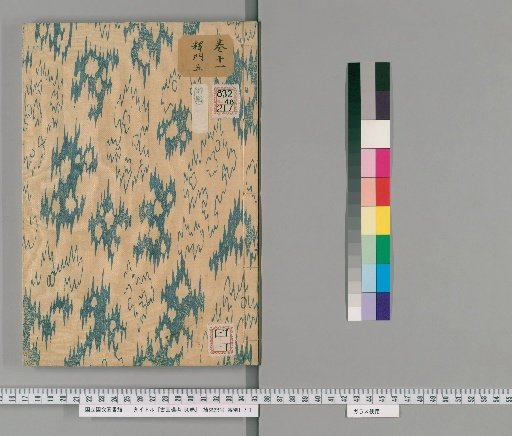 Notes on Ancient Paintings, 50 Volumes [12]