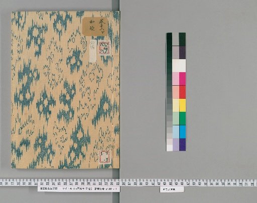 Notes on Ancient Paintings, 50 Volumes [14]