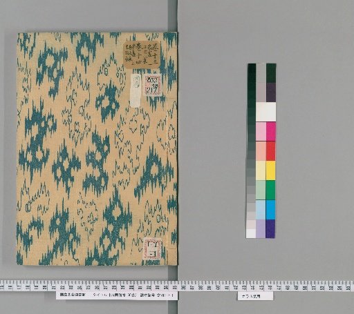 Notes on Ancient Paintings, 50 Volumes [15]