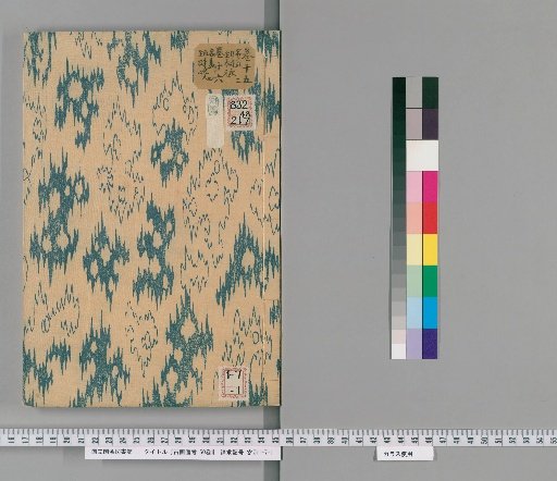 Notes on Ancient Paintings, 50 Volumes [16]