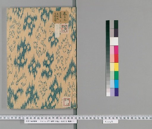 Notes on Ancient Paintings, 50 Volumes [17]