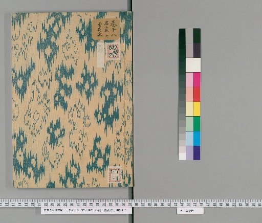 Notes on Ancient Paintings, 50 Volumes [18]
