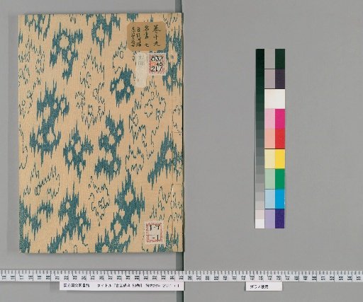Notes on Ancient Paintings, 50 Volumes [19]
