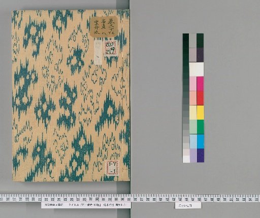 Notes on Ancient Paintings, 50 Volumes [20]