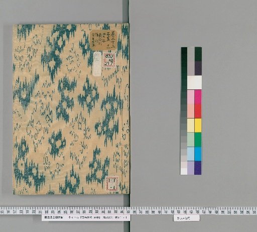 Notes on Ancient Paintings, 50 Volumes [22]