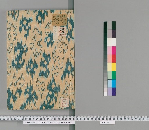 Notes on Ancient Paintings, 50 Volumes [24]