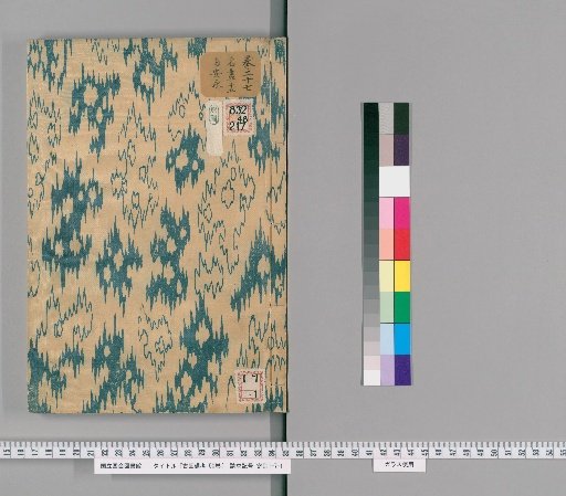 Notes on Ancient Paintings, 50 Volumes [25]