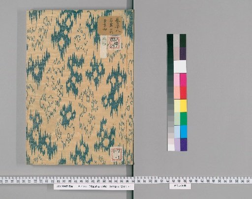 Notes on Ancient Paintings, 50 Volumes [26]