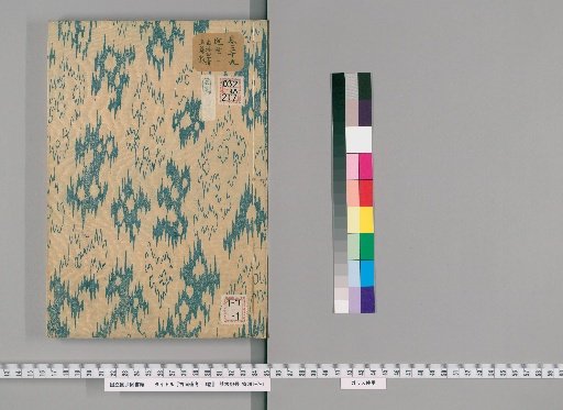 Notes on Ancient Paintings, 50 Volumes [27]