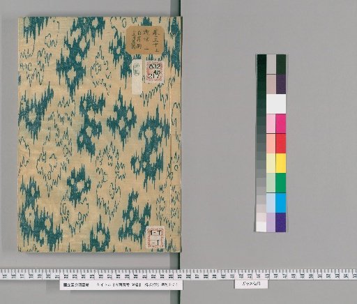 Notes on Ancient Paintings, 50 Volumes [28]