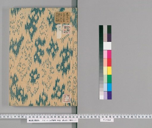 Notes on Ancient Paintings, 50 Volumes [29]