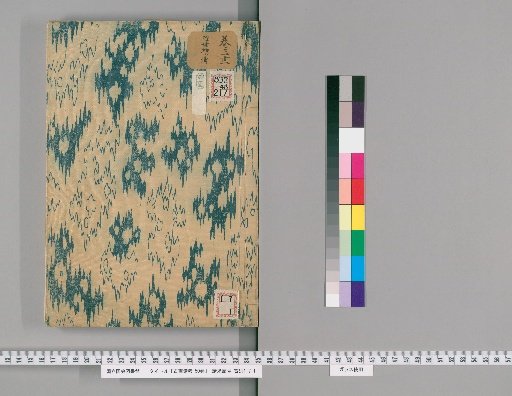 Records of Ancient Paintings, 50 volumes [30]