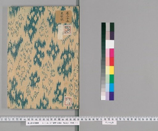 Records of Ancient Paintings, 50 volumes [33]