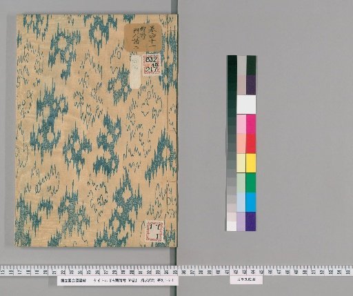Records of Ancient Paintings, 50 volumes [39]