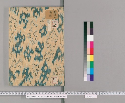 Records of Ancient Paintings, 50 volumes [41]