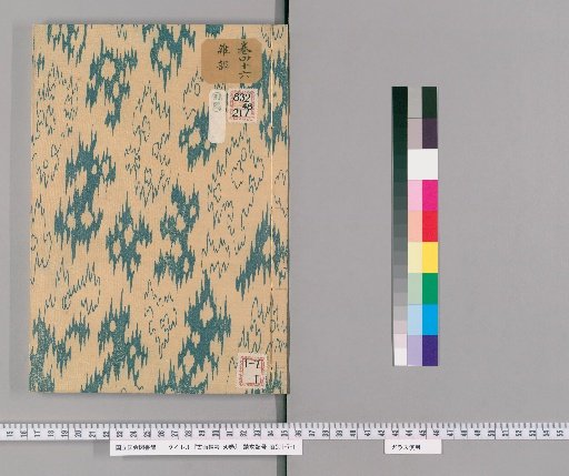 Records of Ancient Paintings, 50 volumes [43]