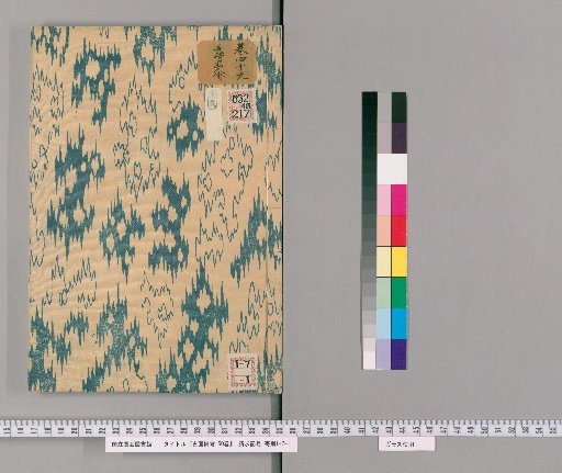 Records of Ancient Paintings, 50 volumes [46]