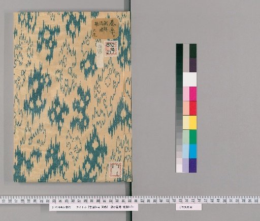 Records of Ancient Paintings, 50 volumes [48]