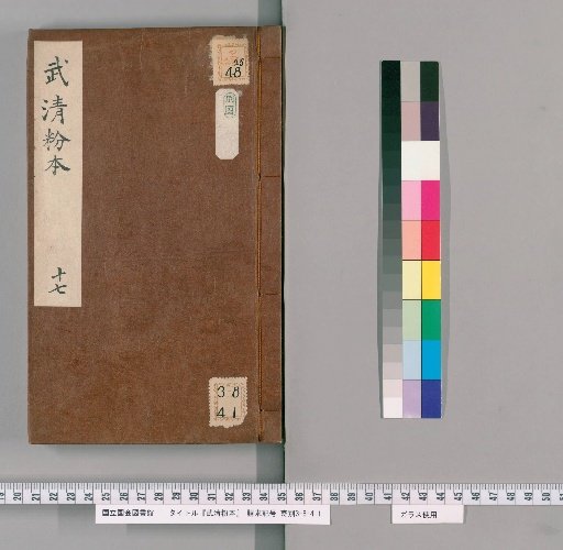 Wuqing Model Book 17