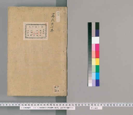 Revised Zhenghe Jingshi Shōrui Beiyong Bencao, 30 Volumes [4]