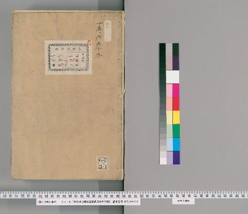 Revised Zhenghe Illustrated Materia Medica for General Use, 30 Volumes [10]