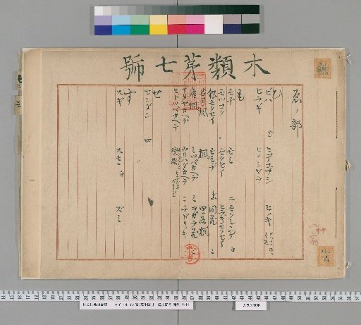 Mokurui [Shashin-zu] [7]