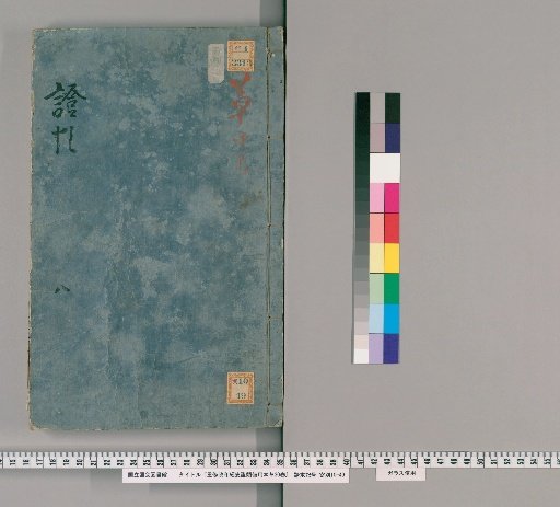 Chūshū Seiwai Kyōshō Shōrui Biyō Hōhon, 30 Volumes [7]