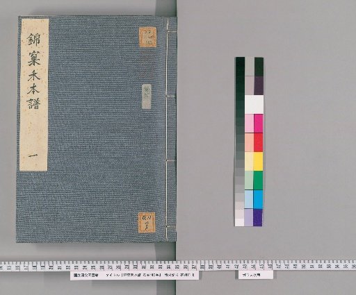 The Rice Catalogue of the Brocade Nest, 23 Volumes with 2 Supplementary Volumes [1]