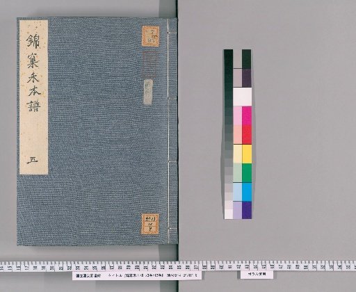 The Rice Catalogue of the Brocade Nest, 23 Volumes with 2 Supplementary Volumes [5]