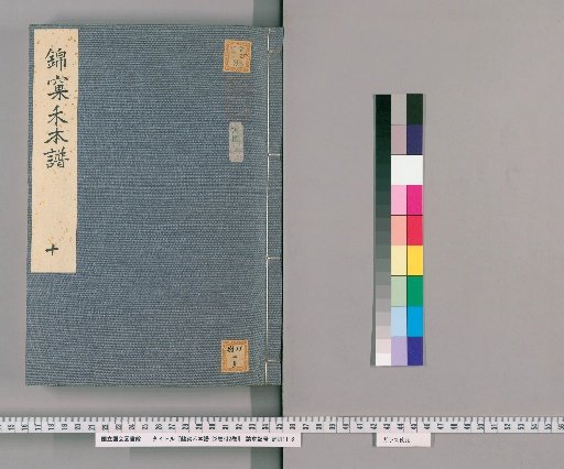 The Rice Catalogue of the Brocade Nest, 23 Volumes with 2 Supplementary Volumes [10]