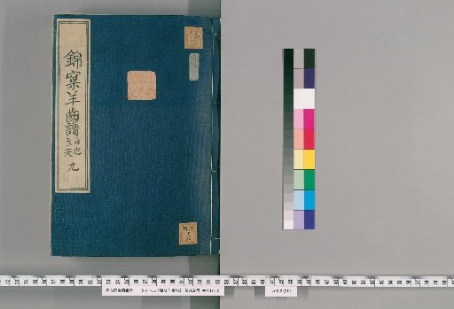 Kinshō Fern Catalogue [9]