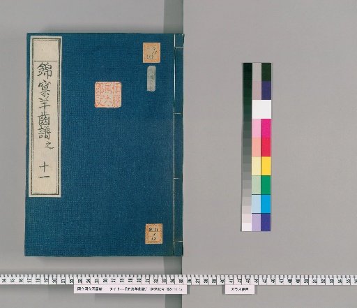 Kinshō Fern Catalogue [11]