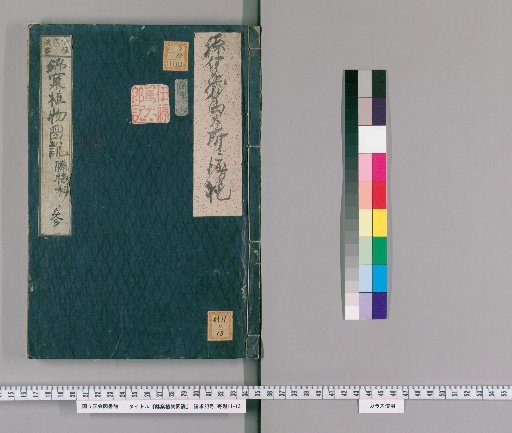 Kinshō Illustrated Plant Treatise [4]