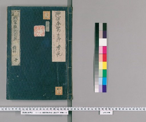 Kinshō Illustrated Plant Treatise [11]