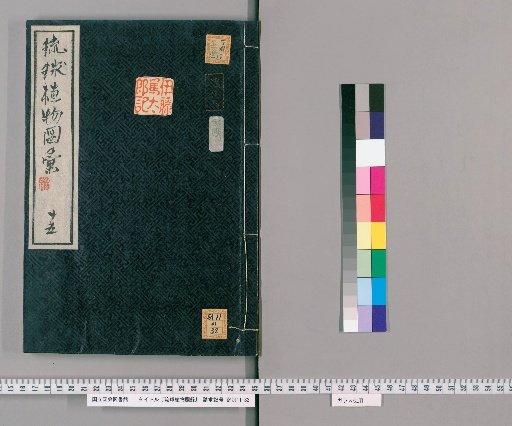 Illustrated Catalogue of Ryukyu Plants [15]