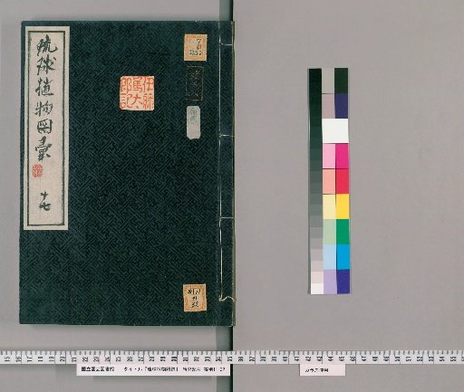Illustrated Catalogue of Ryukyu Plants [17]