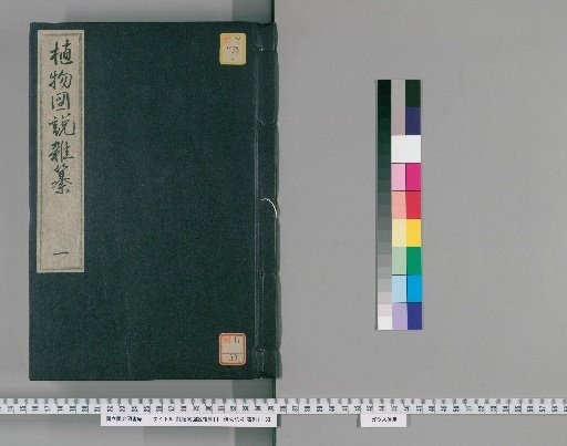 Miscellaneous Illustrated Plant Treatise [1]