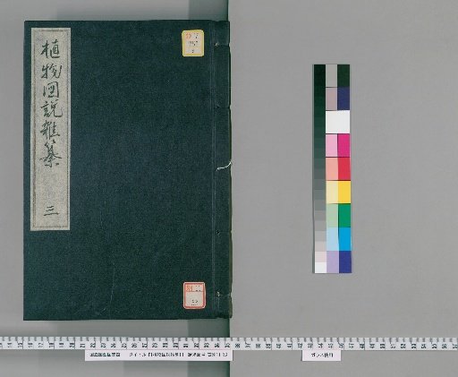 Miscellaneous Illustrated Plant Treatise [3]