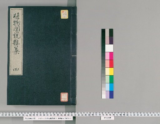 Miscellaneous Illustrated Plant Treatise [4]