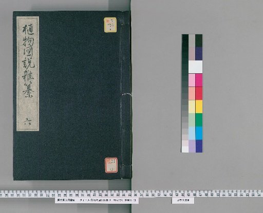 Miscellaneous Illustrated Plant Treatise [6]
