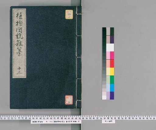 Miscellaneous Illustrated Plant Treatise [12]