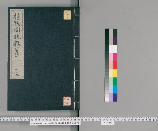 [Miscellaneous Illustrated Treatise on Plants] [15]