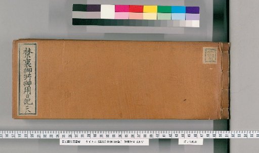 Imperial Palace Official Diary [118]