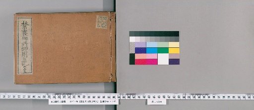 Imperial Palace Official Diary [253]