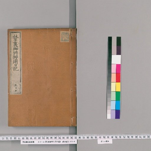 Imperial Palace Official Diary [300]